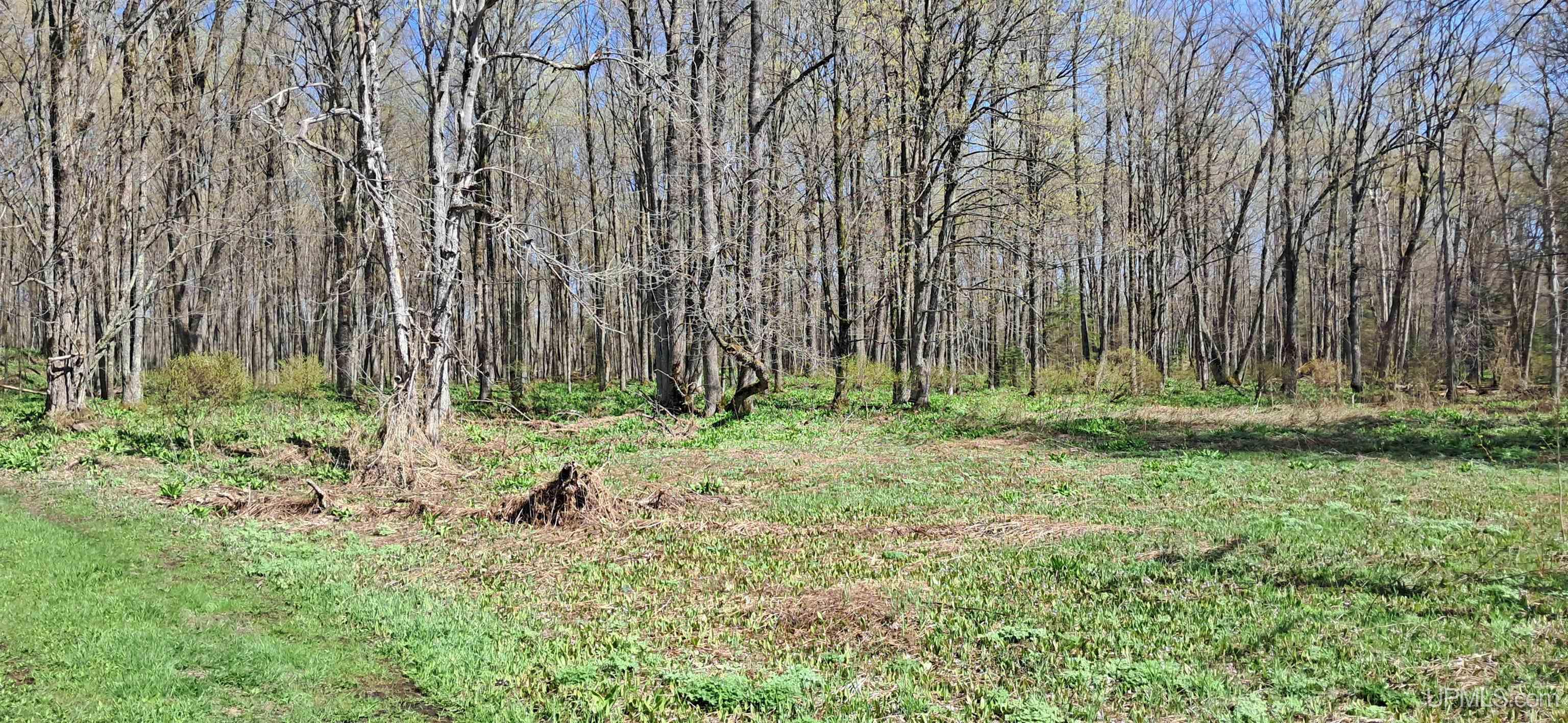 Tbd County H26 Road Rock, MI 49880 - Photo 18 of 20