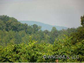 1239 South Phillips Road Columbus, NC 28722 - Photo 13 of 24
