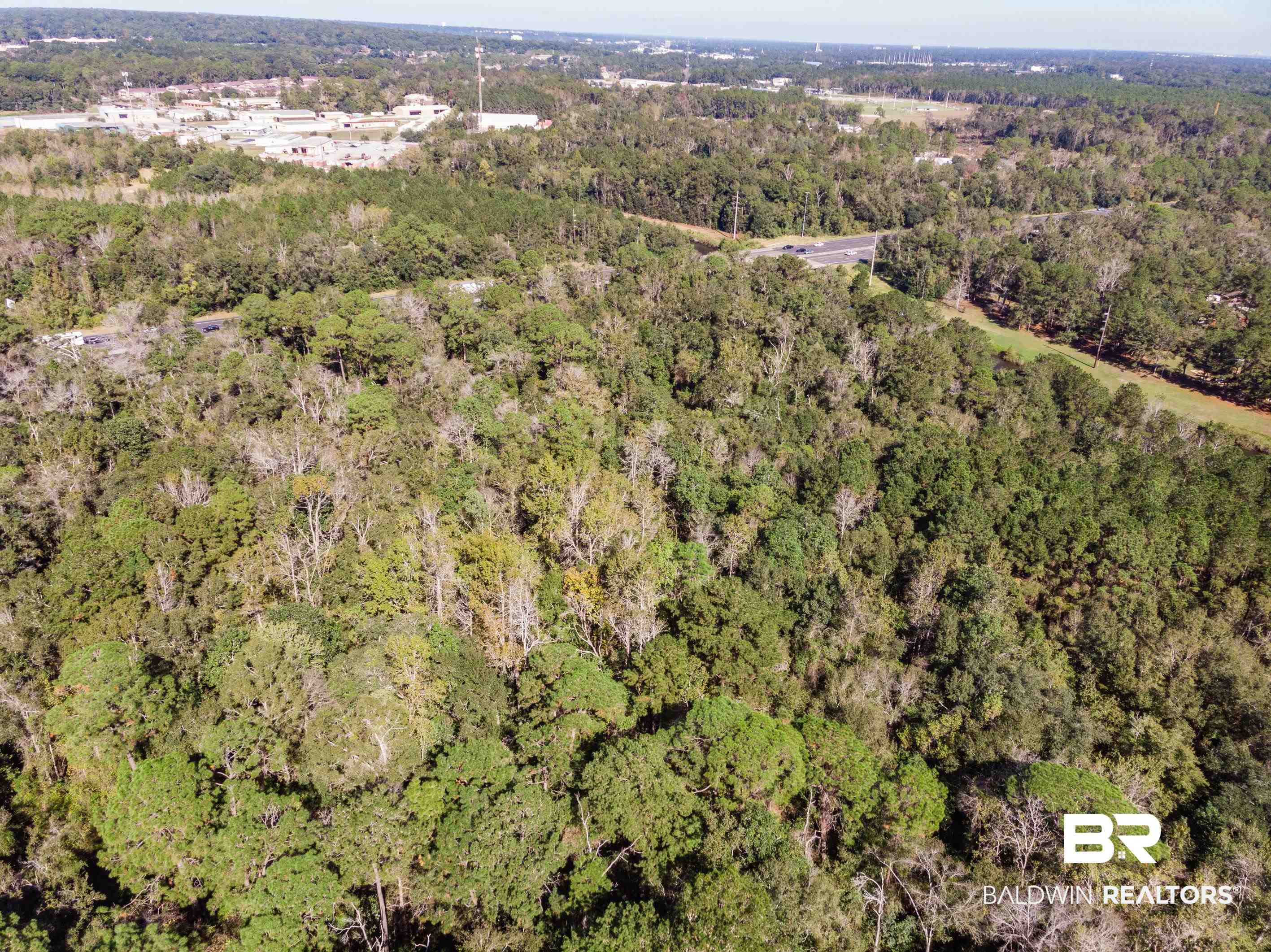 0 Rosie Road Mobile, AL 36693 - Photo 5 of 7
