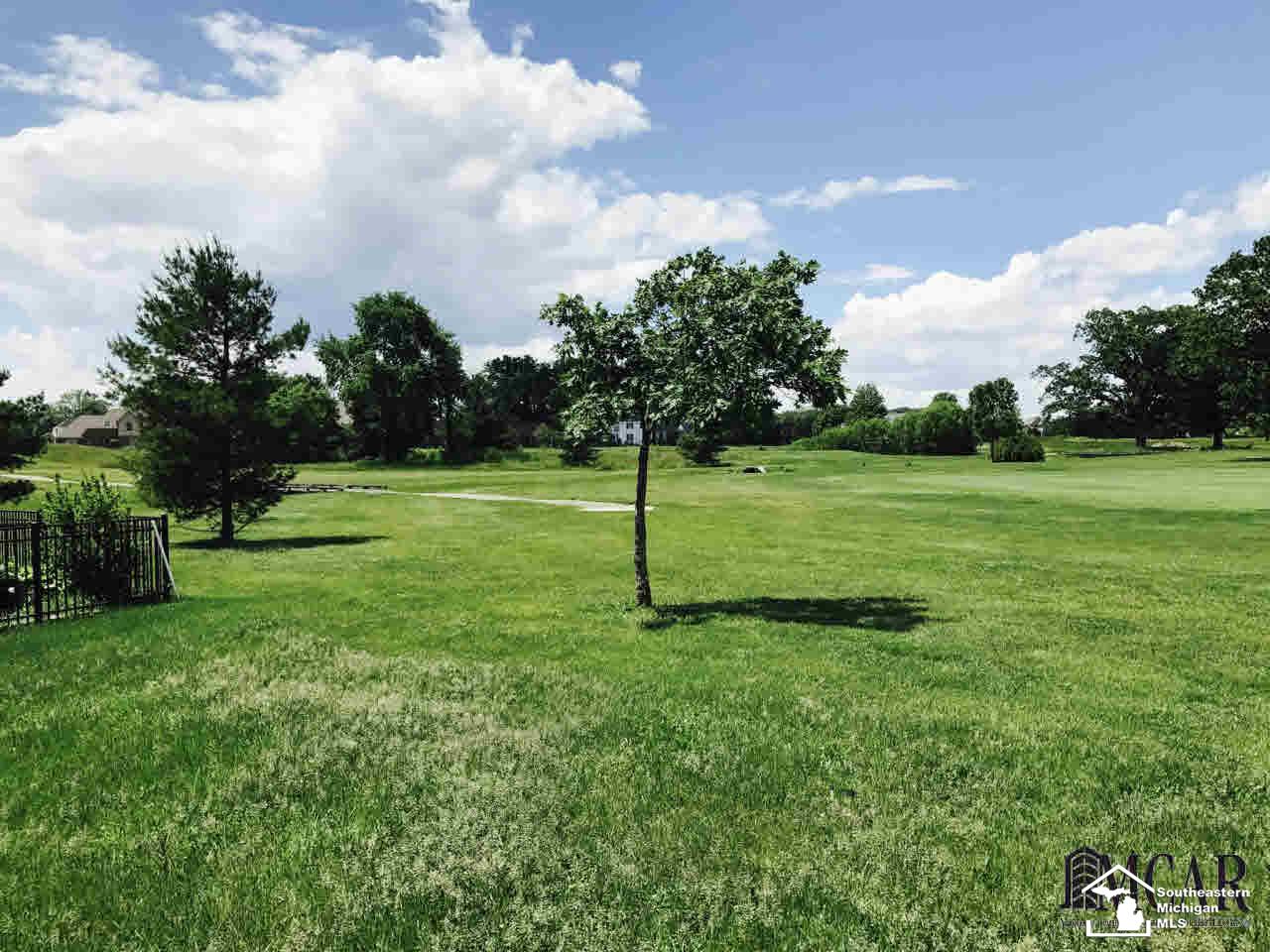 1039 St James Monroe, MI 48161 - Photo 2 of 5
