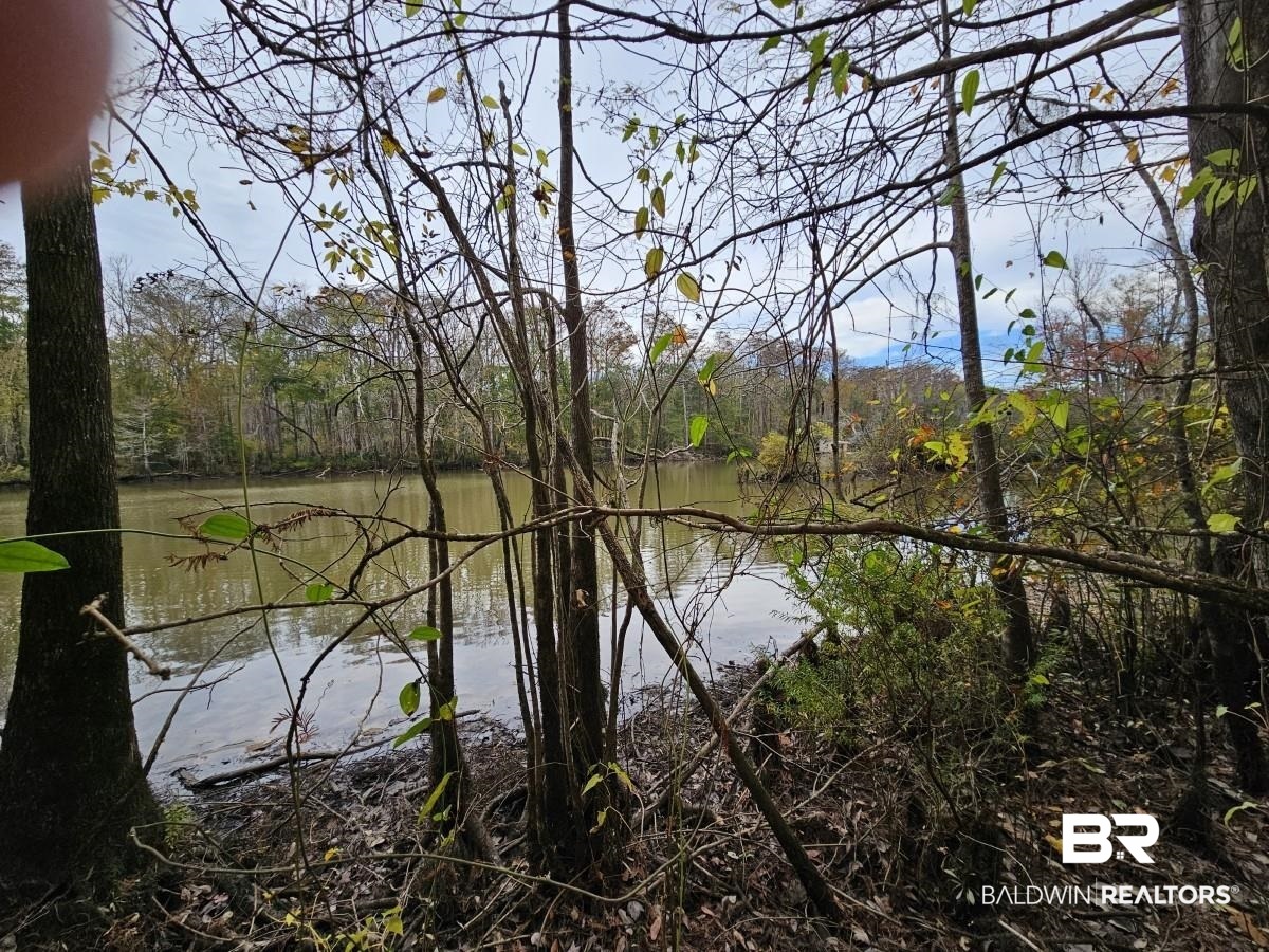 8515 Club House Road Bay Minette, AL 36507 - Photo 14 of 19