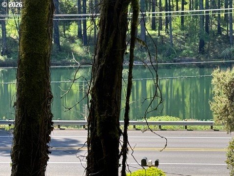 90988 Angels Flight Road Walterville, OR 97489 - Photo 32 of 34
