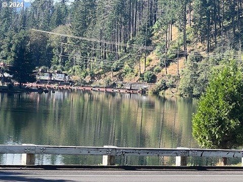 90988 Angels Flight Road Walterville, OR 97489 - Photo 33 of 34