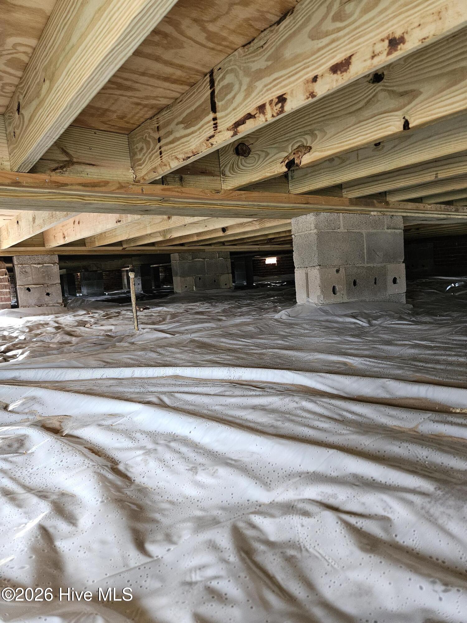 1097 Beech Springs Road, Unit 1 Hertford, NC 27944 - Photo 3 of 16 20260131_105943