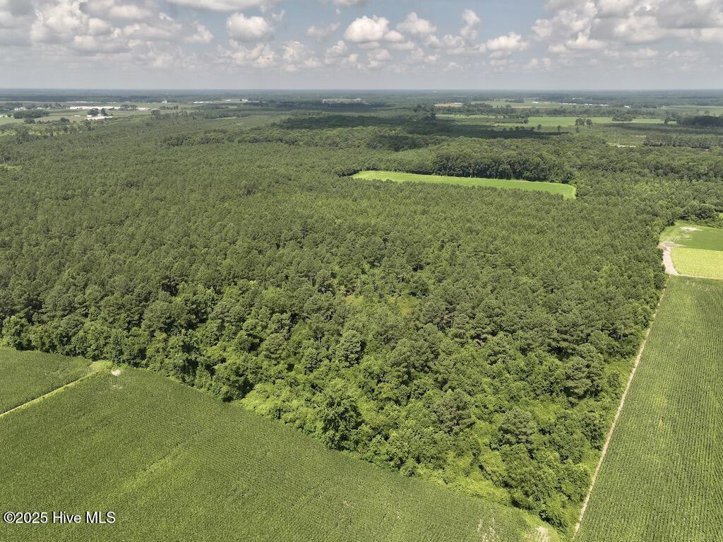 3 Albritton Road Snow Hill, NC 28580 - Photo 7 of 27 4