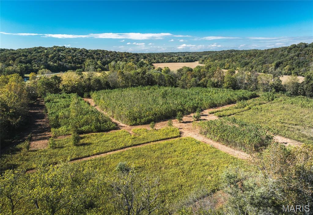 Tbd Hunting Club Road Grafton, IL 62037 - Photo 13 of 32