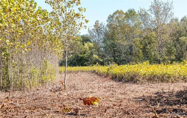 $230,000 | Tbd Hunting Club Road, Grafton, IL 62037