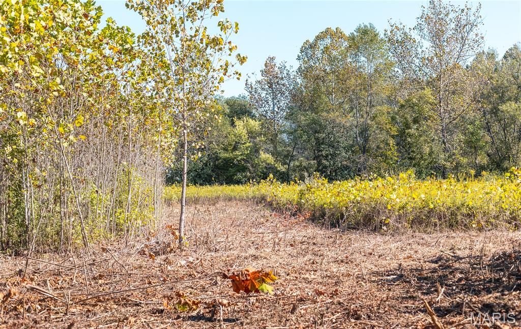 Tbd Hunting Club Road Grafton, IL 62037 - Photo 21 of 32