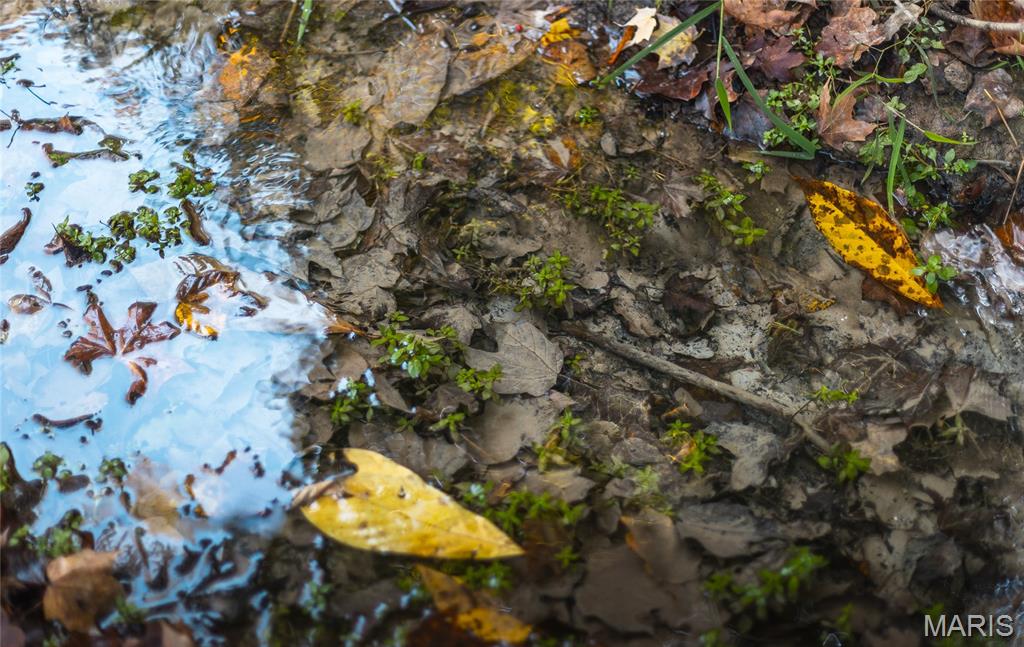 Tbd Hunting Club Road Grafton, IL 62037 - Photo 22 of 32