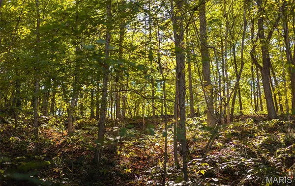 $230,000 | Tbd Hunting Club Road, Grafton, IL 62037