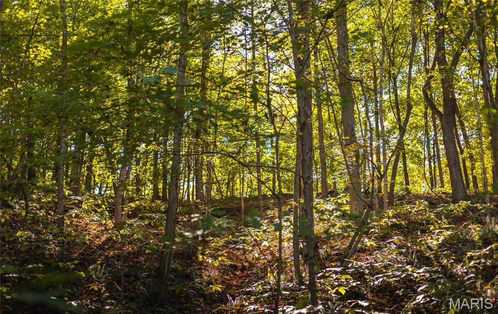 Tbd Hunting Club Road Grafton, IL 62037 - Photo 25 of 32