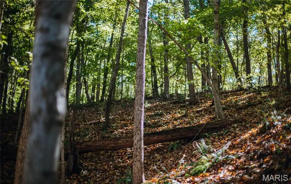 $230,000 | Tbd Hunting Club Road, Grafton, IL 62037