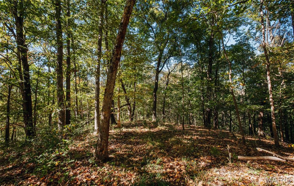 Tbd Hunting Club Road Grafton, IL 62037 - Photo 27 of 32