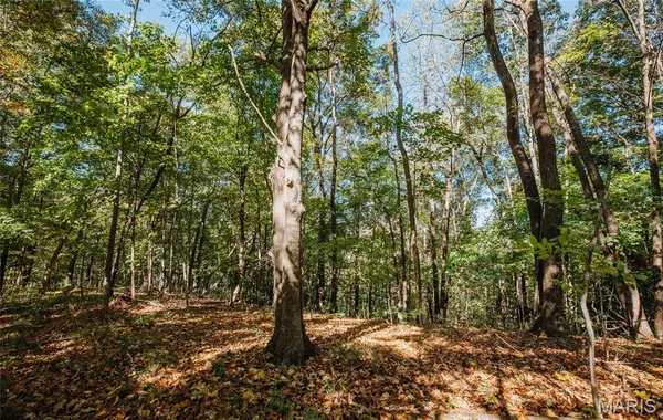 $230,000 | Tbd Hunting Club Road, Grafton, IL 62037