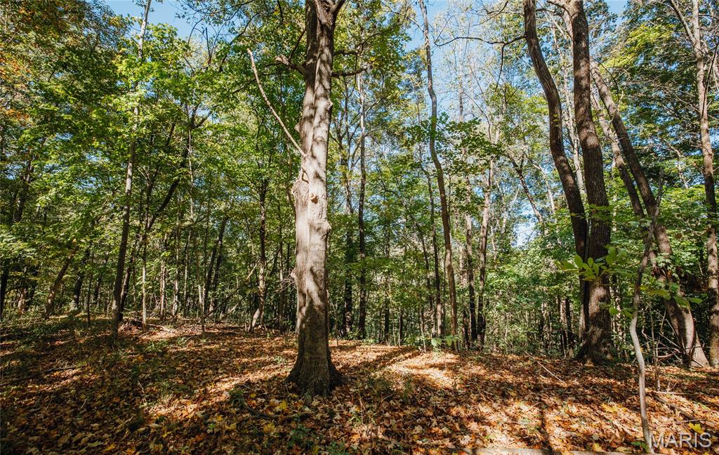 Tbd Hunting Club Road Grafton, IL 62037 - Photo 28 of 32