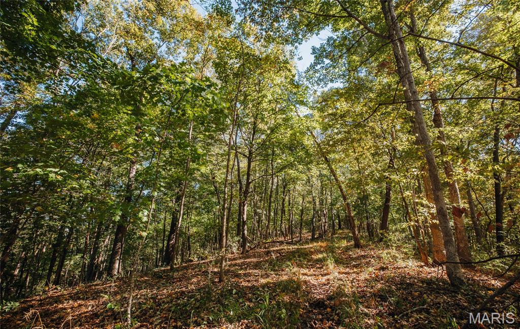 Tbd Hunting Club Road Grafton, IL 62037 - Photo 31 of 32