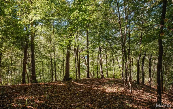 $230,000 | Tbd Hunting Club Road, Grafton, IL 62037