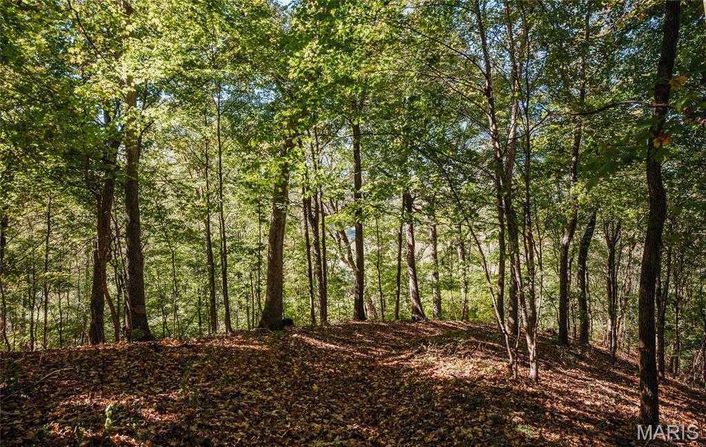 Tbd Hunting Club Road Grafton, IL 62037 - Photo 32 of 32