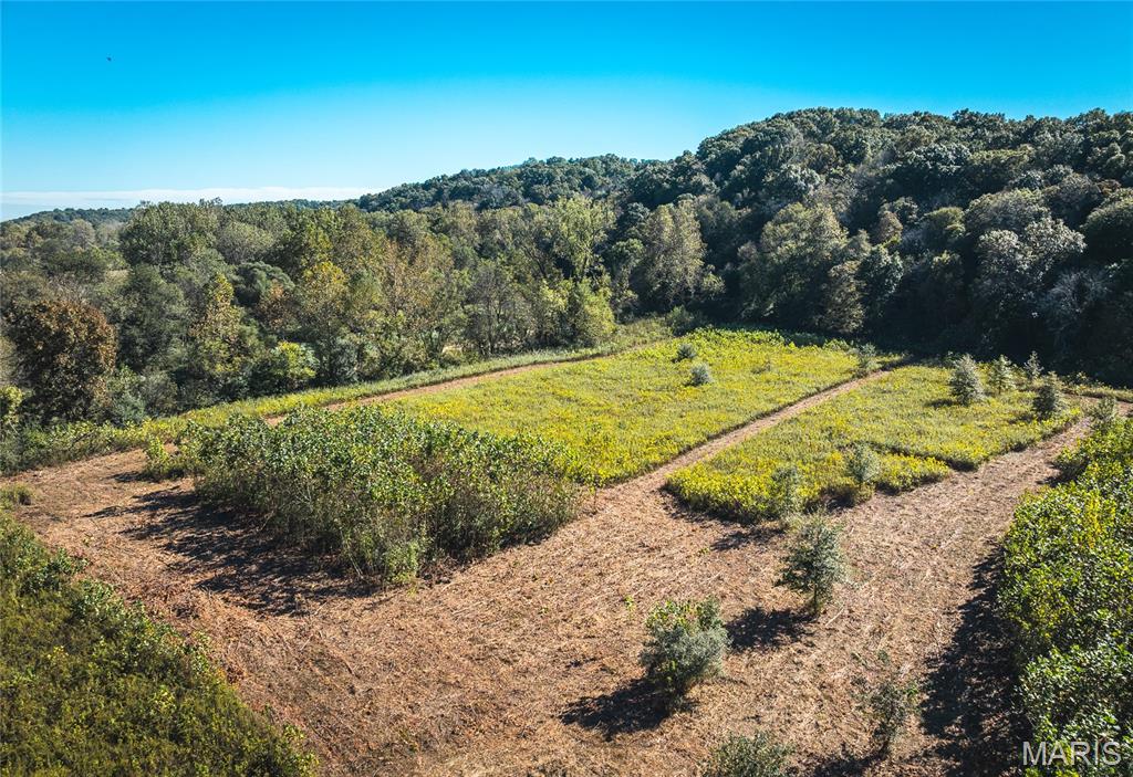 Tbd Hunting Club Road Grafton, IL 62037 - Photo 8 of 32