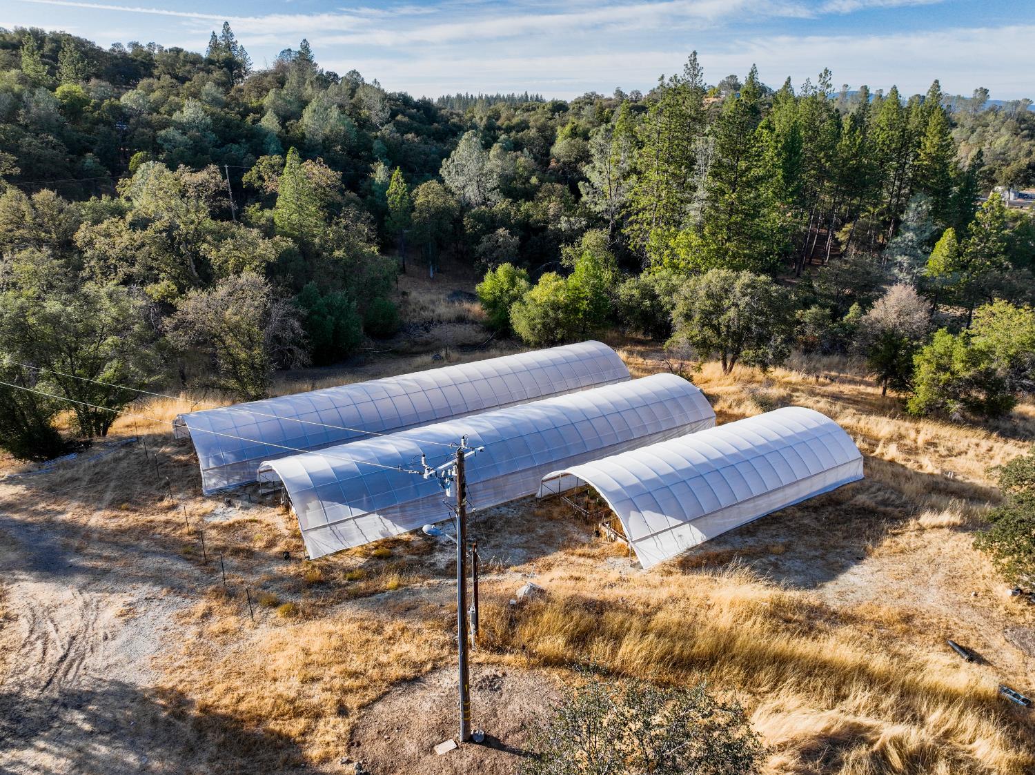 10523 Tasha Road Nevada City, CA 95959 - Photo 12 of 20 a view of a yard with an outdoor space