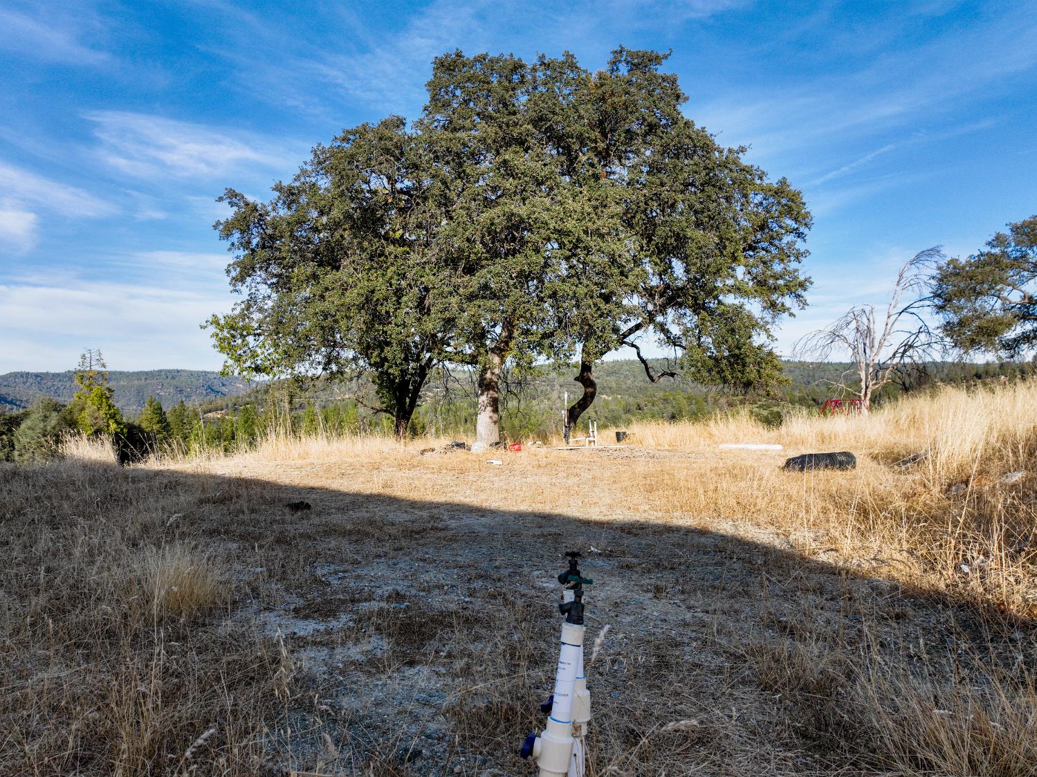 10523 Tasha Road Nevada City, CA 95959 - Photo 13 of 20 a view of a lake with a yard