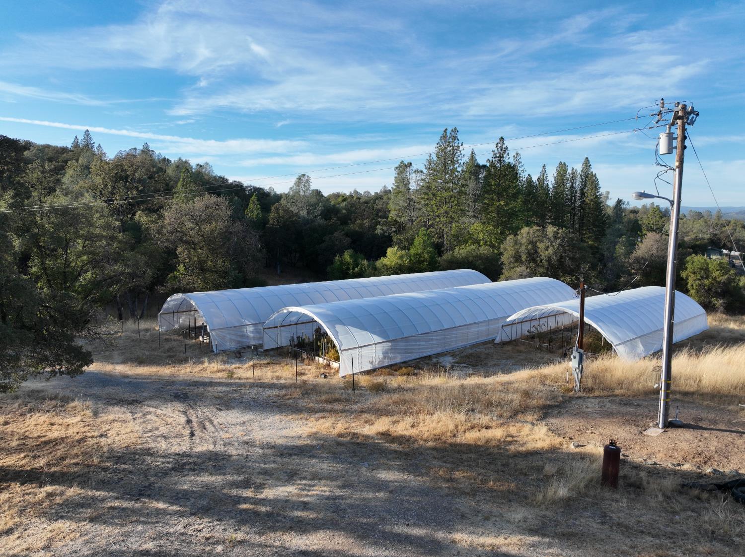10523 Tasha Road Nevada City, CA 95959 - Photo 14 of 20 a view of a outdoor space