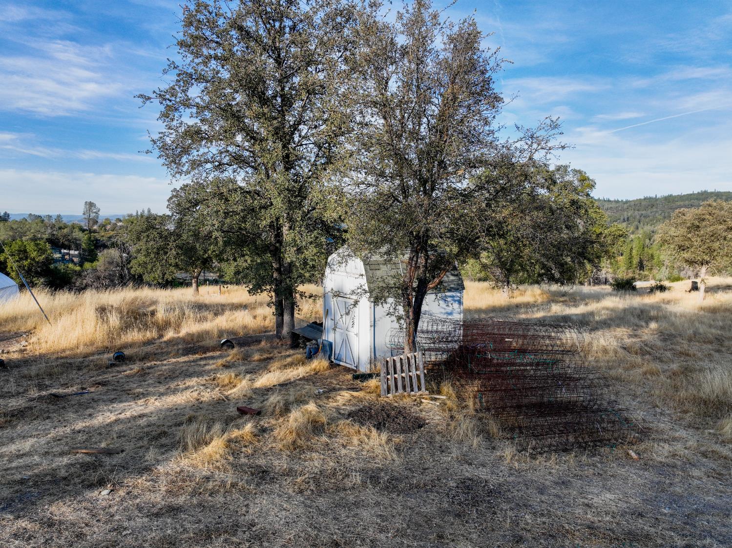 10523 Tasha Road Nevada City, CA 95959 - Photo 18 of 20 a view of dirt yard with a large tree