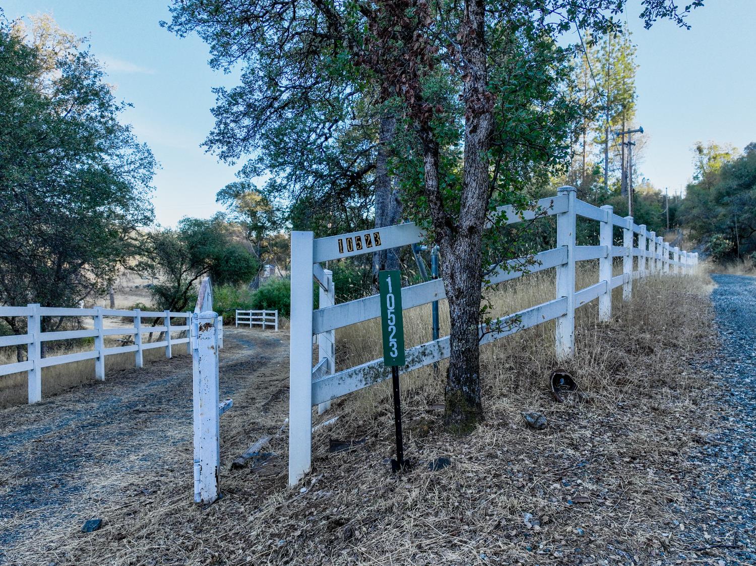 10523 Tasha Road Nevada City, CA 95959 - Photo 4 of 20 a view of a backyard with plants and large trees