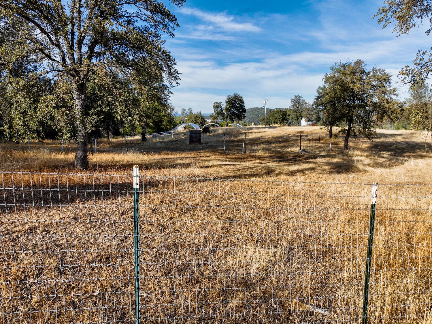 10523 Tasha Road Nevada City, CA 95959 - Photo 6 of 20 a view of a yard with trees