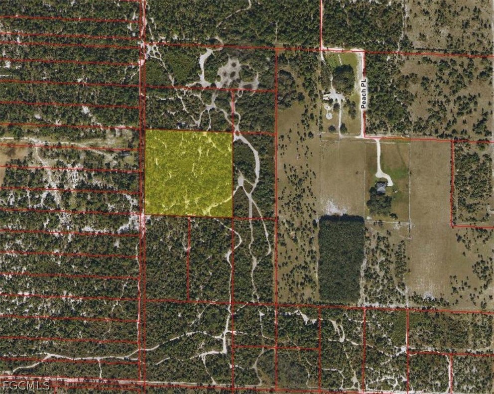 1 Woodland Grade Private Road Naples, FL 34117 - Photo 2 of 2 Gallery Image 2