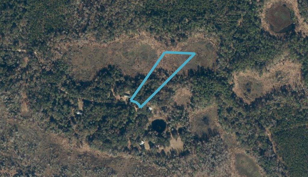 190 She She Road Hawthorne, FL 32640 - Photo 12 of 12 Gallery Image 12