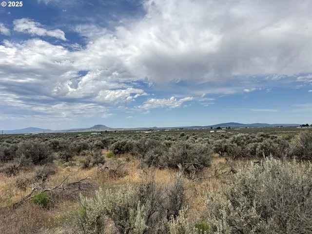 a view of a bunch of trees in all around