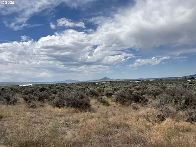 a view of a bunch of trees
