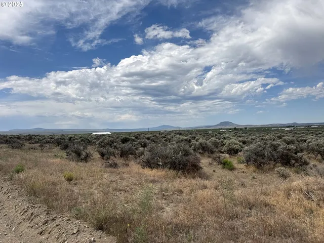a view of a bunch of trees in a field