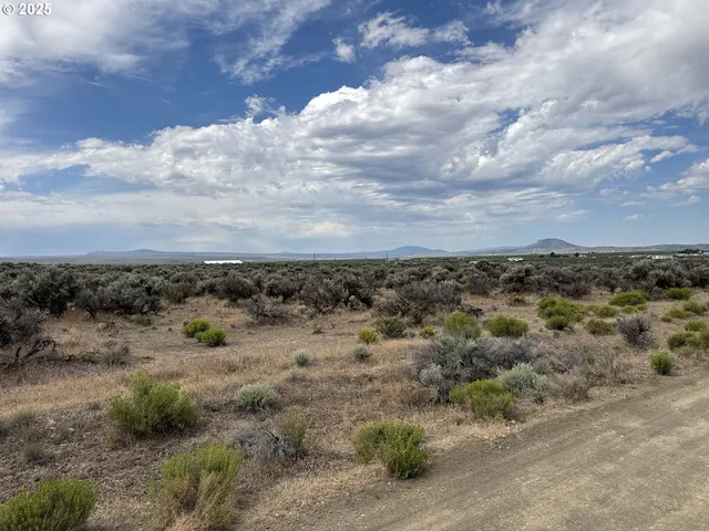 a view of a dry space with lots of trees