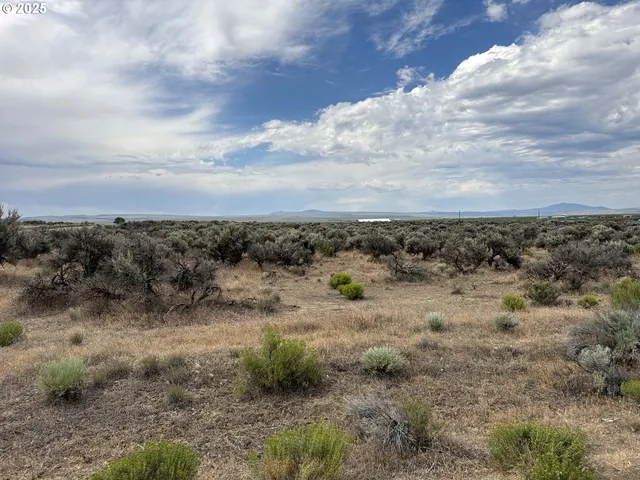a view of a dry yard with wooden fence