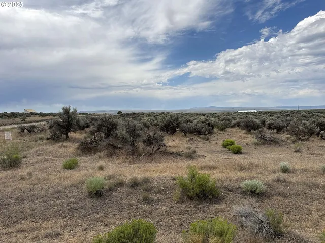 a view of a dry space with lots of trees