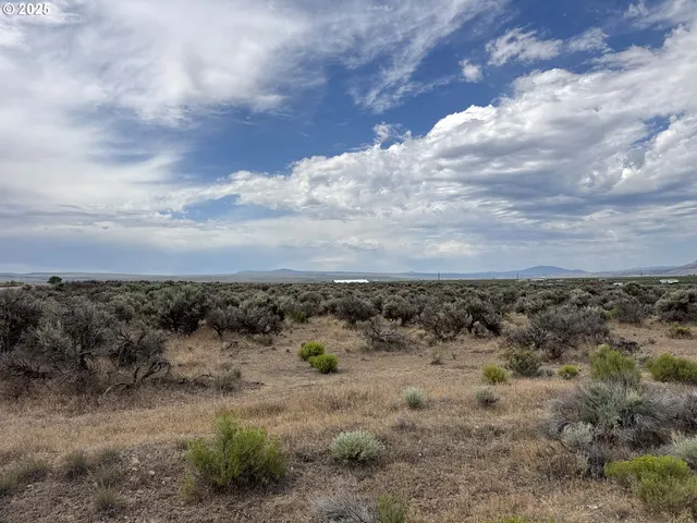 an aerial view of houses covered with trees