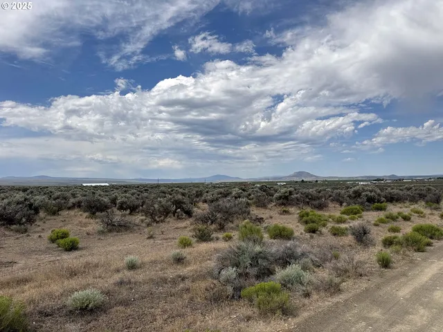 a view of a dry yard with wooden fence
