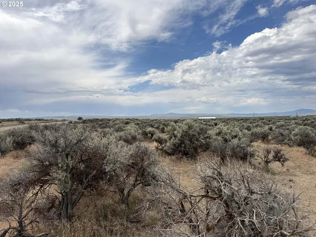 a view of a street with of tiny house