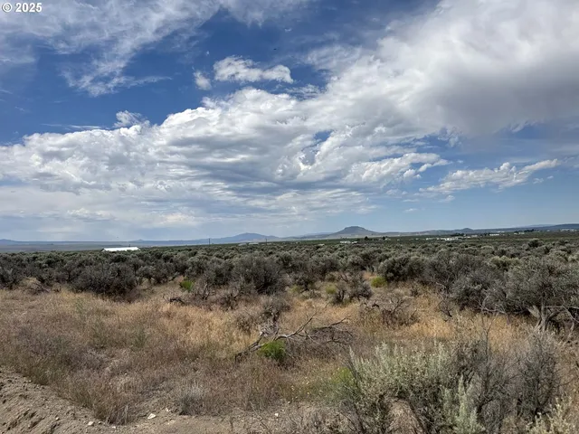 a view of a bunch of trees in all around