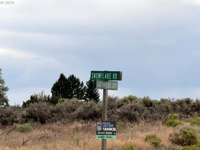 a view of a yard with an trees