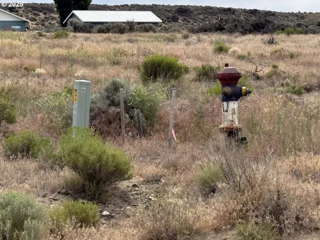 $16,000 | Snowflake Road, Unit 1700, Christmas Valley, OR 97641