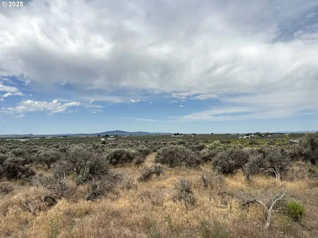 a view of a bunch of trees in all around