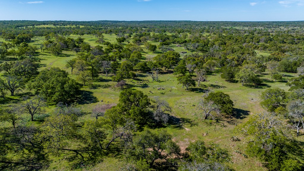 283 Dally Road, Unit 14 Comfort, TX 78013 - Photo 6 of 12 Gallery Image 6