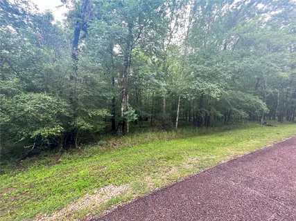 $25,000 | 74 South Royale Greens Drive, Coldspring, TX 77331