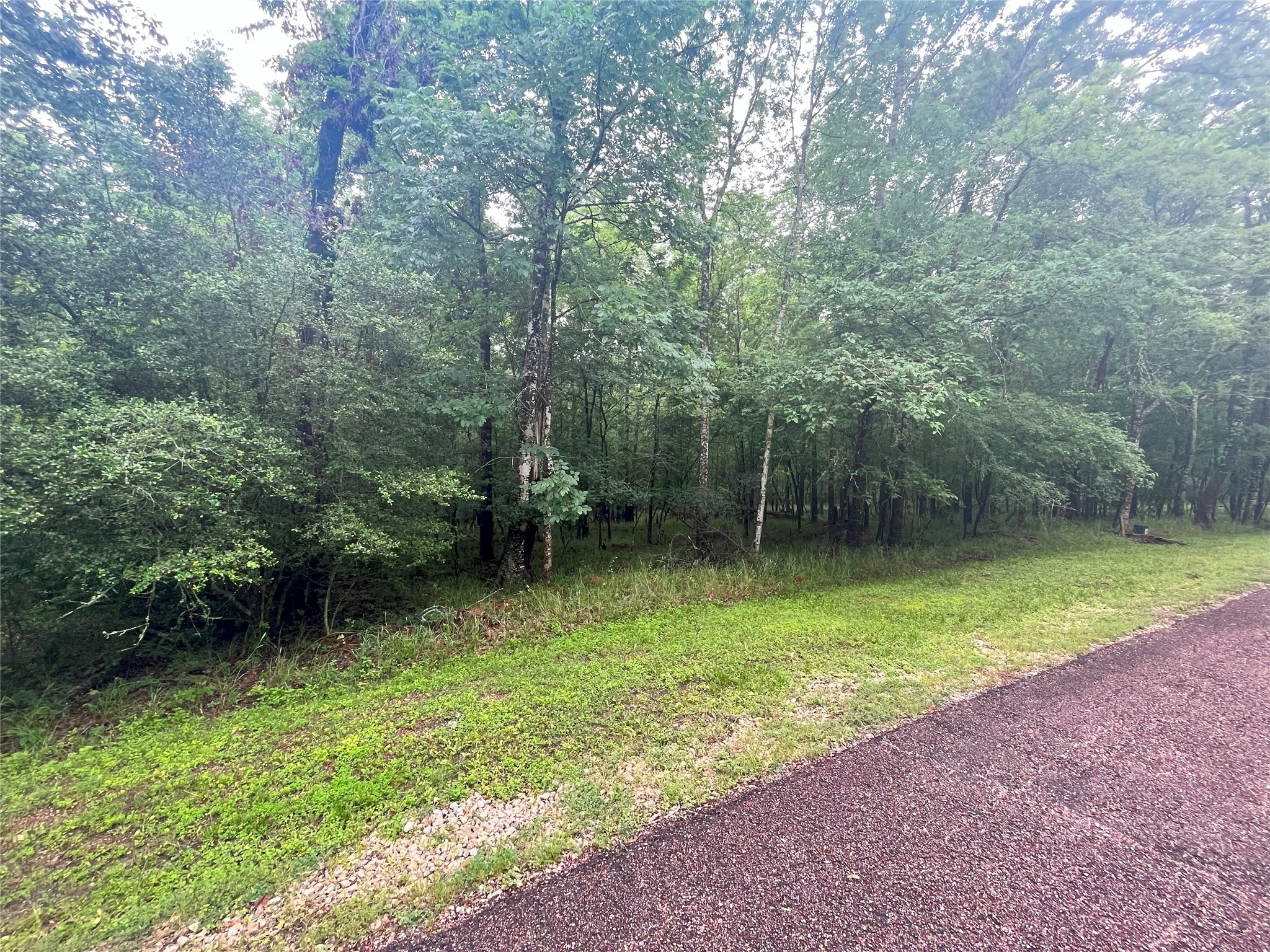 74 South Royale Greens Drive Coldspring, TX 77331 - Photo 2 of 12 Your new lot in Cape Royale.