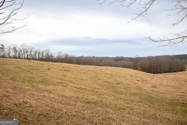 $240,000 | 0 Kesler Road, Carnesville, GA 30521