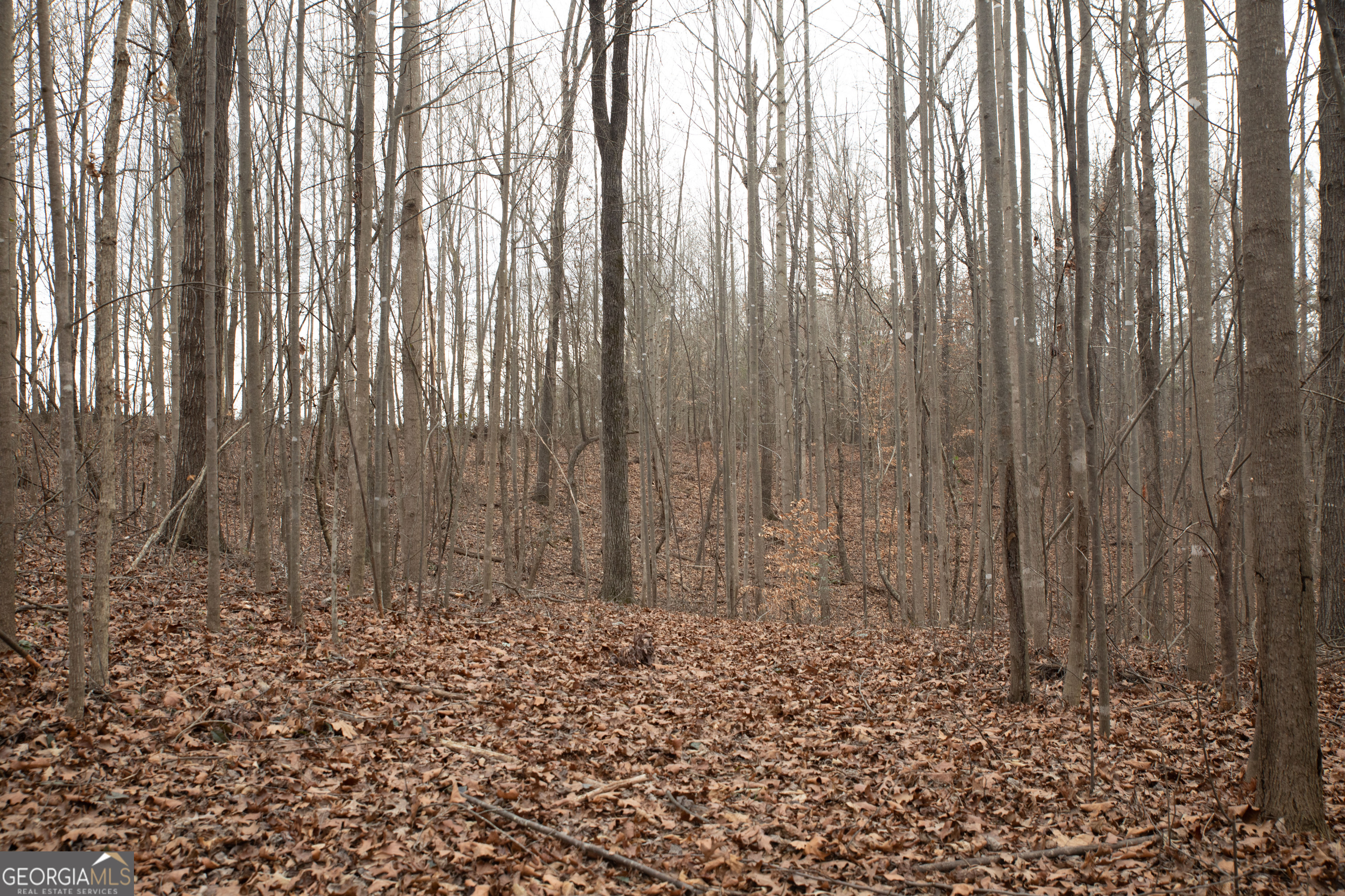0 Kesler Carnesville, GA 30521 - Photo 2 of 6 a view of wooden fence with trees