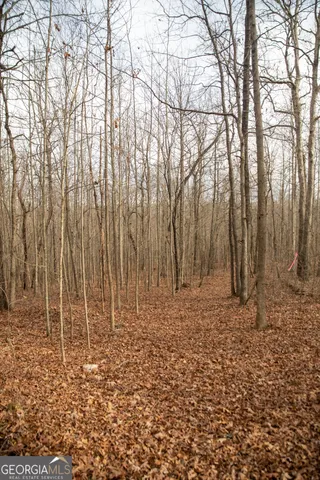 $240,000 | 0 Kesler Road, Carnesville, GA 30521